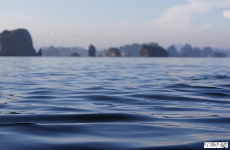 女狮子座和哪个星座最配,狮子女的速配星座配对是什么意思啊 - 星座运势