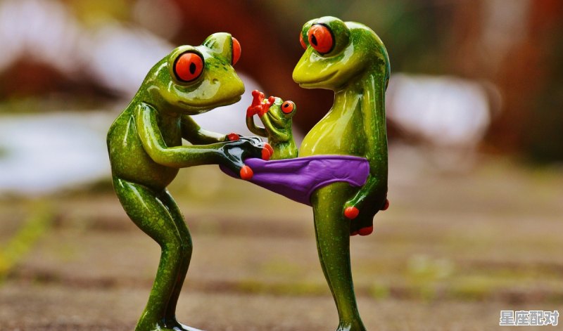 今年犯太岁的属相是哪几个，蛇跟什么生肖相冲 - 星座运势