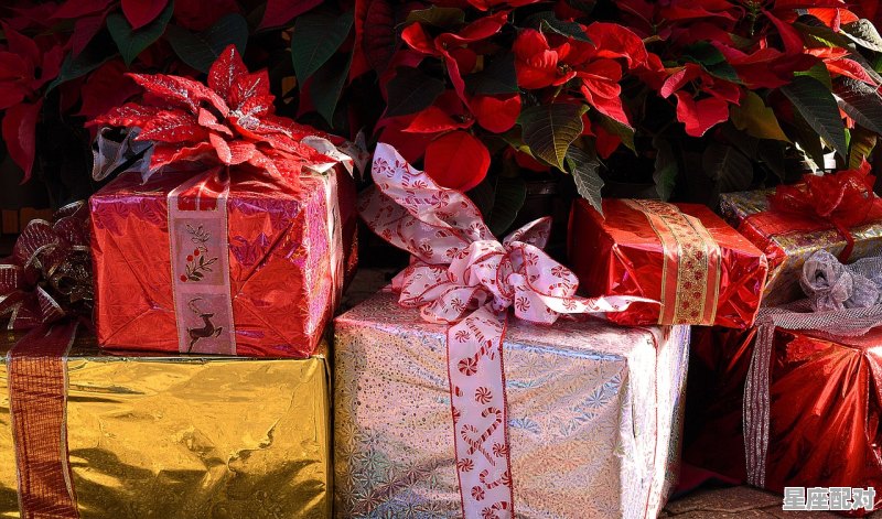 春节的习俗简写,过年十大习俗是什么 - 星座运势