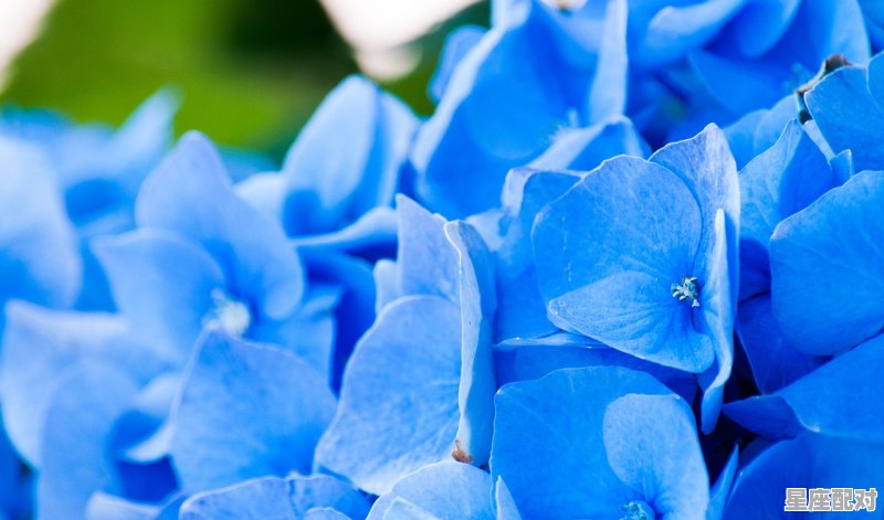 巨蟹座近期大喜事_巨蟹座即将大转折的星座 - 星座运势