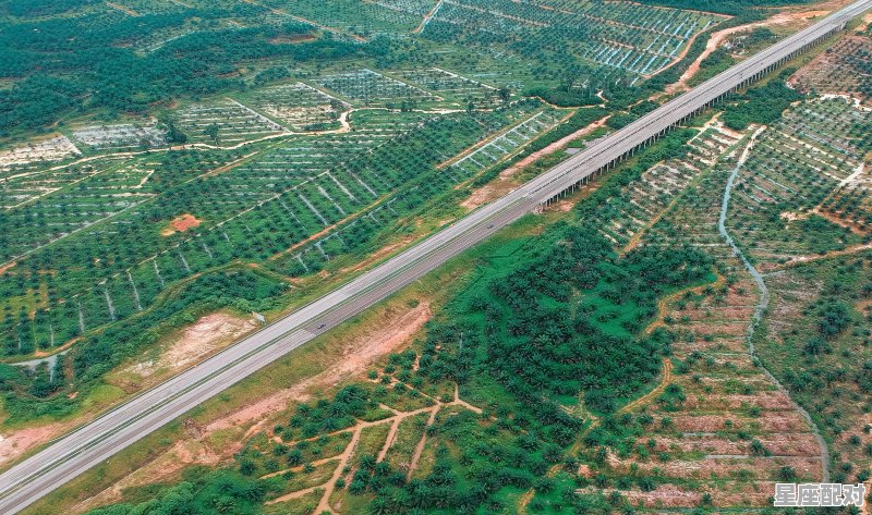 河西街道办杨家浩有什么规划,1210什么星座 - 星座运势