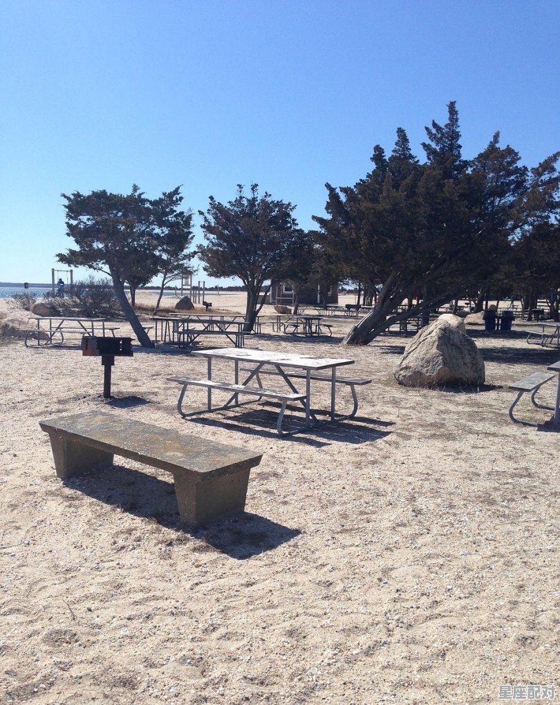 梦到大夫,梦到大夫 - 星座运势