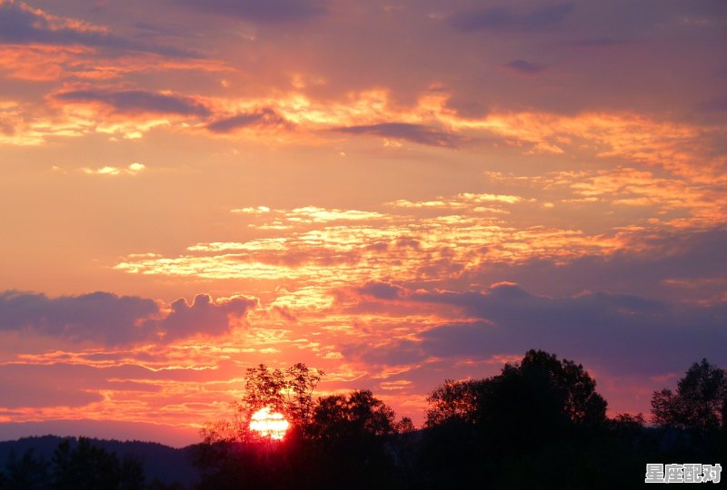 梦到升官,梦到升官 - 星座运势