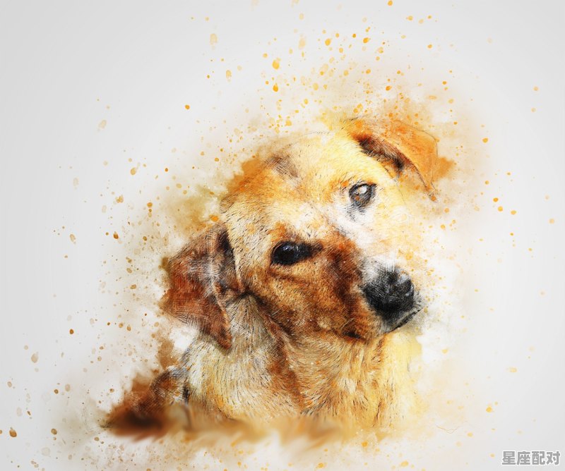 92年6月23日出生的属猴什么性格_中国人怎么确定星座 - 星座运势