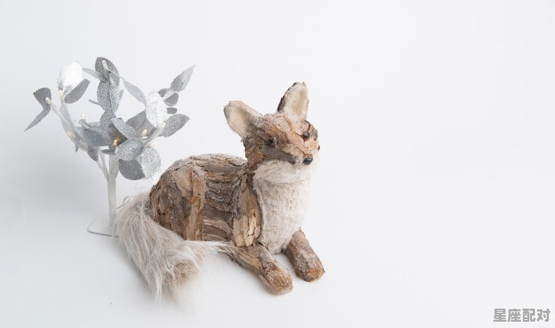 今天是啥年啊_猪吉祥语 - 星座运势