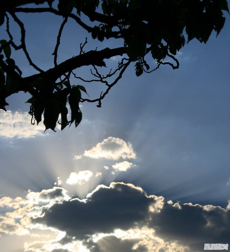 为啥双鱼座和天秤座是最配的,天秤天秤座和什么星座最配 - 星座运势