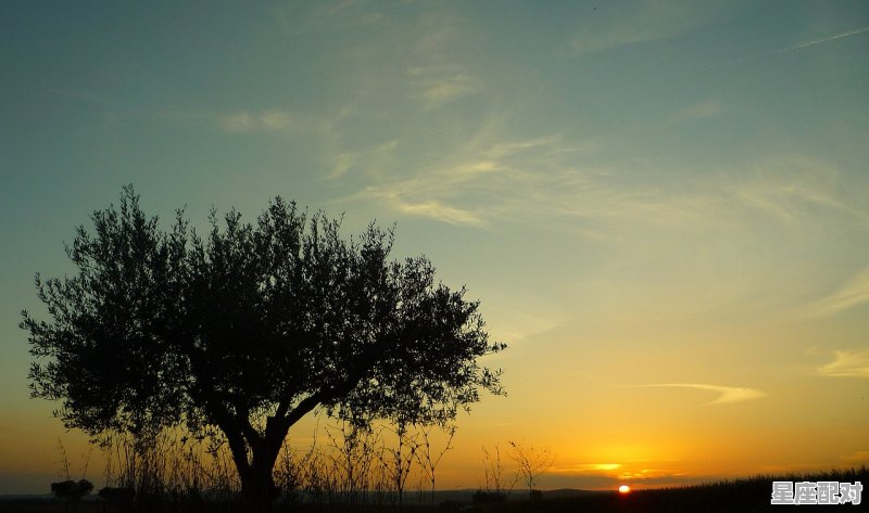 鼓励失明的人的句子,梦到失明 鼓励失明的人的句子,梦到失明 - 星座运势