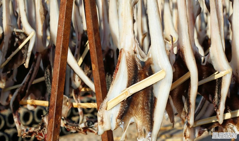 熟鱼干如何保存_做熟的鱼可以在铁锅里放一夜吗 - 星座运势