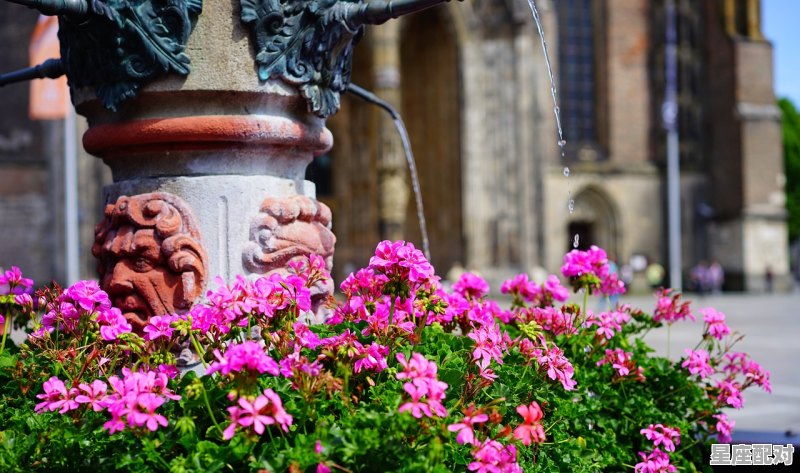 枯木会逢春什么意思_六一代表数字是什么 - 星座运势