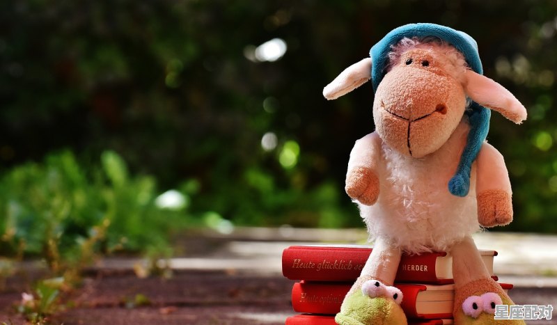 白羊座和哪个星座相配,白羊女什么星座最配 - 星座运势