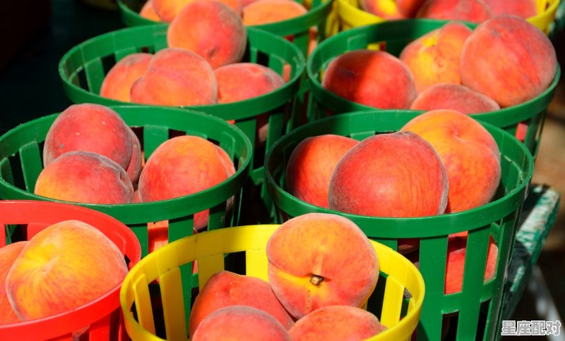 摘桃成语,梦到摘桃子吃 摘桃成语,梦到摘桃子吃 - 星座运势