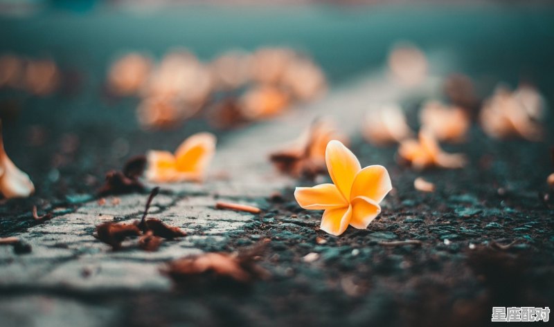 水瓶座最佳闺蜜排名，水瓶座白羊座的性格特征 - 星座运势