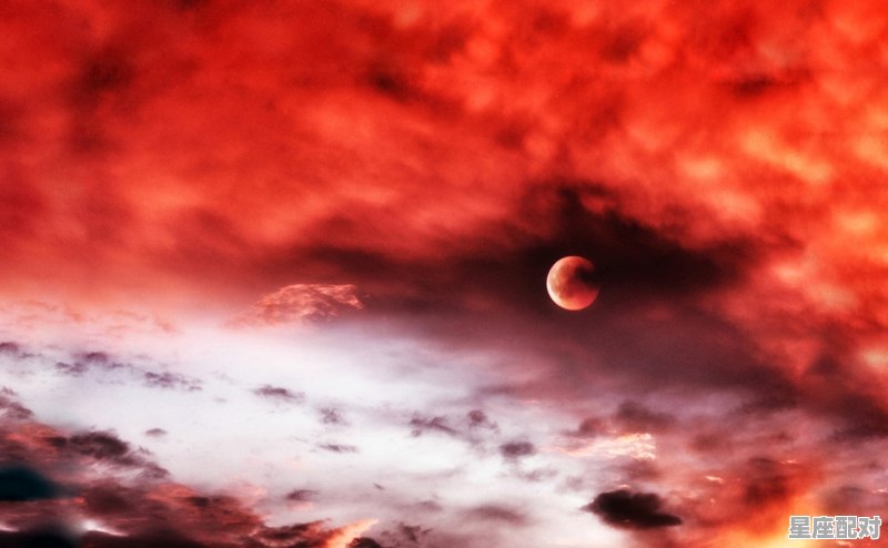 狮子天蝎为什么称之为绝配,狮子跟什么星座配对好相处 - 星座运势