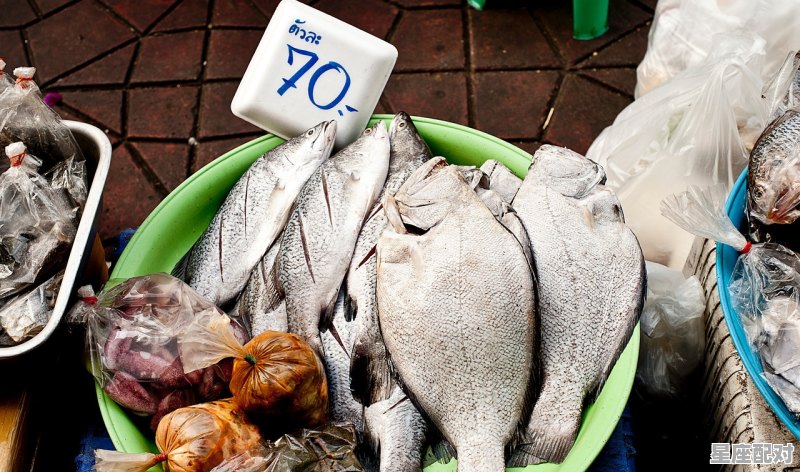 三人吃饺子代表什么动物_举杯代表什么动物 - 星座运势