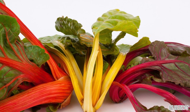 胡萝卜吊坠代表什么寓意_怀孕吃萝卜可以吗 胡萝卜吊坠代表什么寓意_怀孕吃萝卜可以吗 - 星座运势