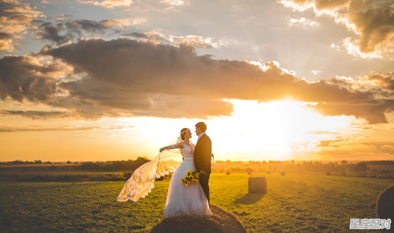 巨蟹座最佳配偶是什么星座,狮子女生配什么星座配对最佳婚姻好 - 星座运势