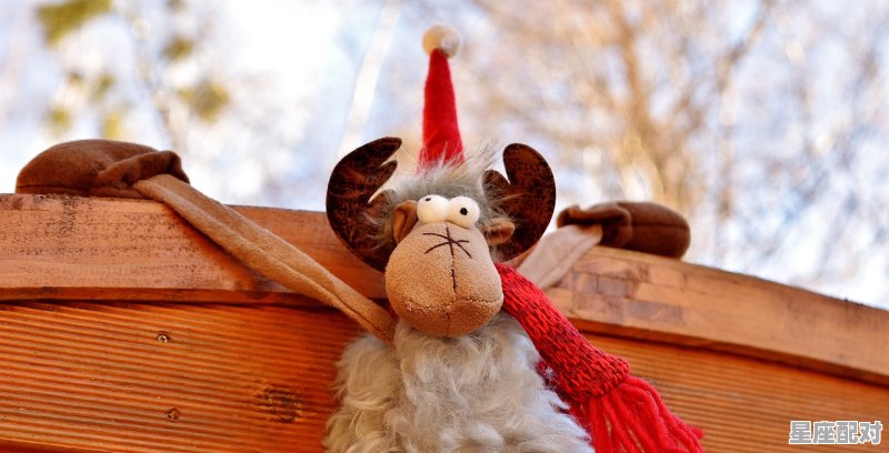 可怕的金牛座预言，金牛男今日财运运势 - 星座运势