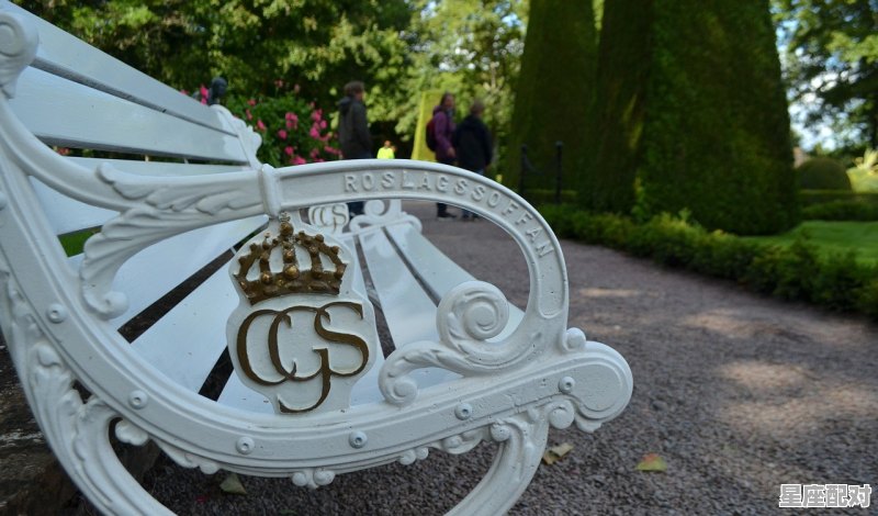 梦到一群大象,梦到一群大象 梦到一群大象,梦到一群大象 - 星座运势