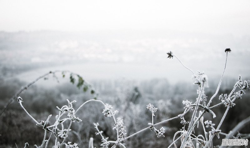 民间大雪吃雪是什么意思啊_24节气大雪简单介绍 民间大雪吃雪是什么意思啊_24节气大雪简单介绍 - 星座运势