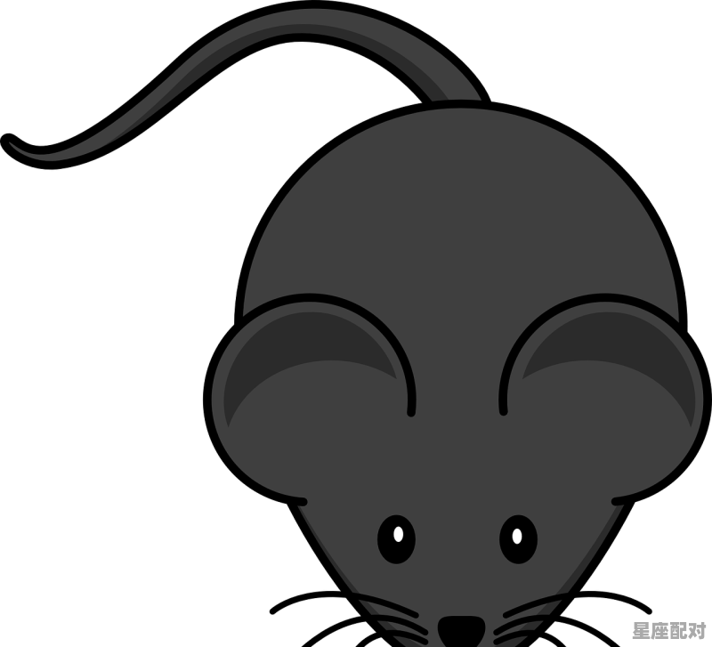 老鼠的尾巴像什么,梦到老鼠尾巴 老鼠的尾巴像什么,梦到老鼠尾巴 - 星座运势