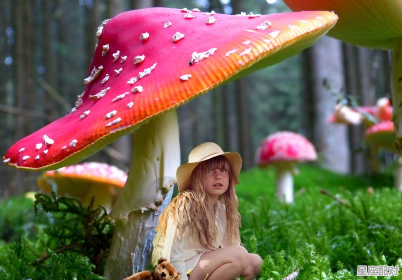 白马见青龙什么意思，人见人怕是什么生肖 - 星座运势