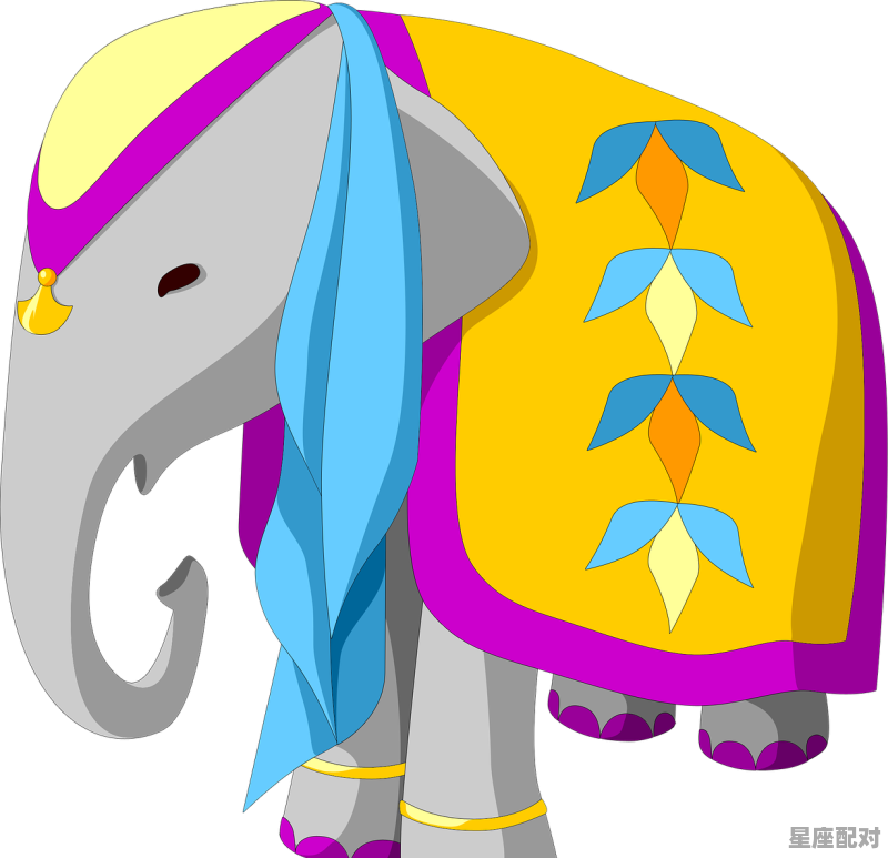 一般什么人骑大象,梦到骑大象 一般什么人骑大象,梦到骑大象 - 星座运势