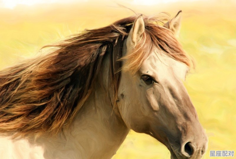 2021年属虎很迷茫为什么_2022年虎年戴什么吉祥物 - 星座运势