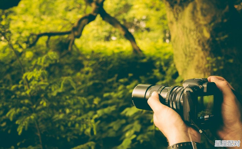 12星座渣男排行_为什么天蝎座是渣男 - 星座运势