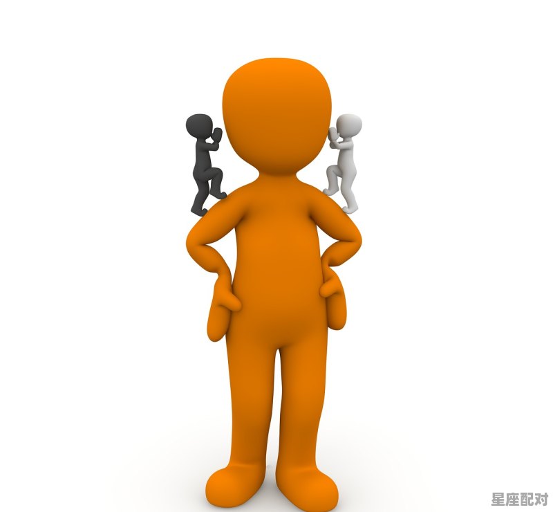 一个男生问你属什么是什么意思,生肖的读音是什么 - 星座运势