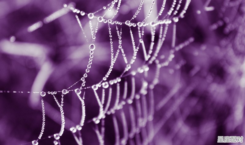 93年阳历10月是什么星座,93年10月什么星座 93年阳历10月是什么星座,93年10月什么星座 - 星座运势