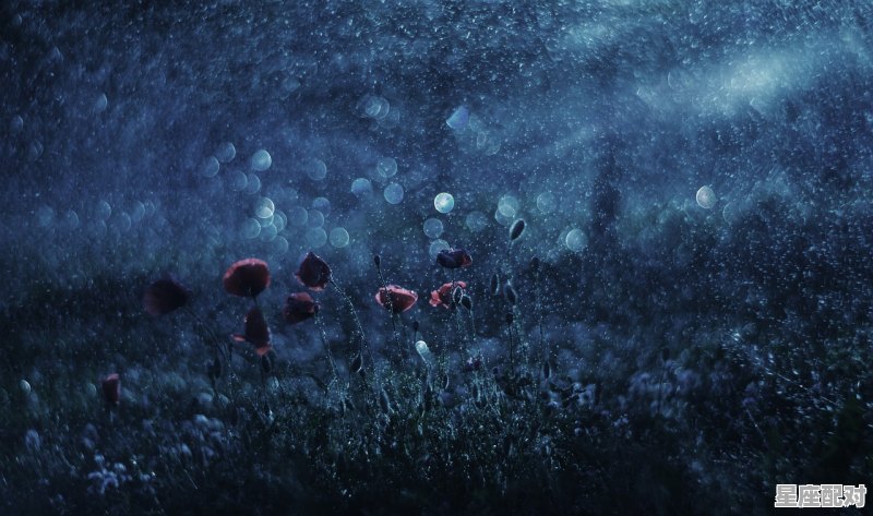 别怕路远梦长,终有星河照耀出自哪里_清霜冷月无眠夜的句子 别怕路远梦长,终有星河照耀出自哪里_清霜冷月无眠夜的句子 - 星座运势