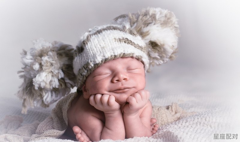 骆驼怀孕几个月生产_刚刚出生的骆驼为什么看不见 骆驼怀孕几个月生产_刚刚出生的骆驼为什么看不见 - 星座运势