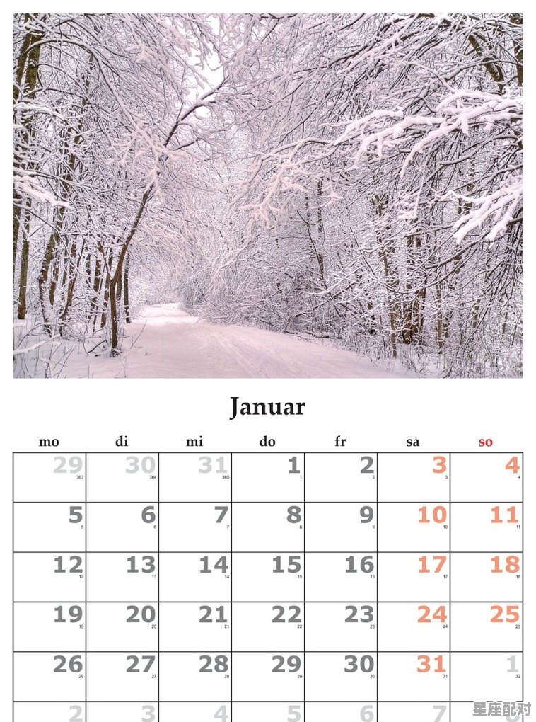 1月1月份是什么星座,新历1月是什么星座 1月1月份是什么星座,新历1月是什么星座 - 星座运势