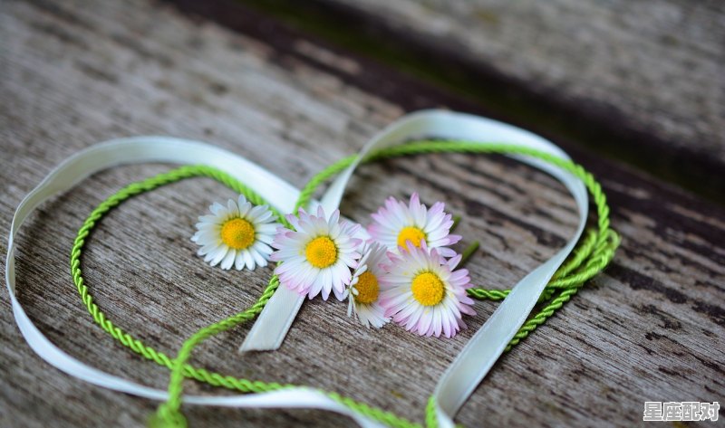 摩羯女爱上狮子座男会痛苦吗_狮子女和摩羯男为什么是王炸组合 - 星座运势