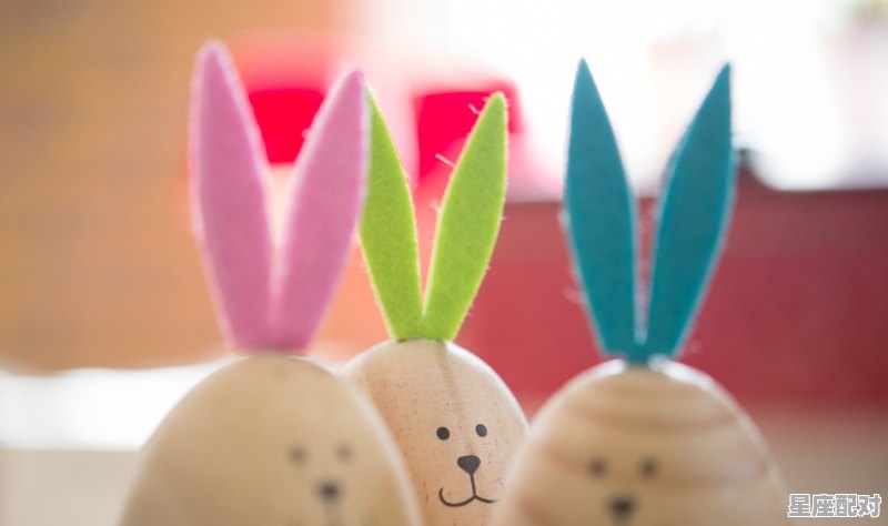属兔的是什么星座_兔宝宝是什么星座 - 星座运势