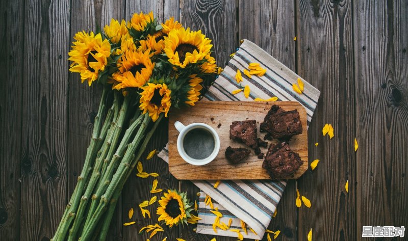 双鱼座女生的性格及特点,双鱼座女人真正的性格特点 - 星座运势