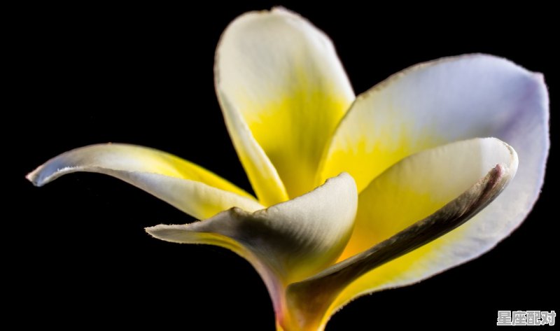 财运报喜好运连连爆款文案,查看今日运势好运连连 财运报喜好运连连爆款文案,查看今日运势好运连连 - 星座运势