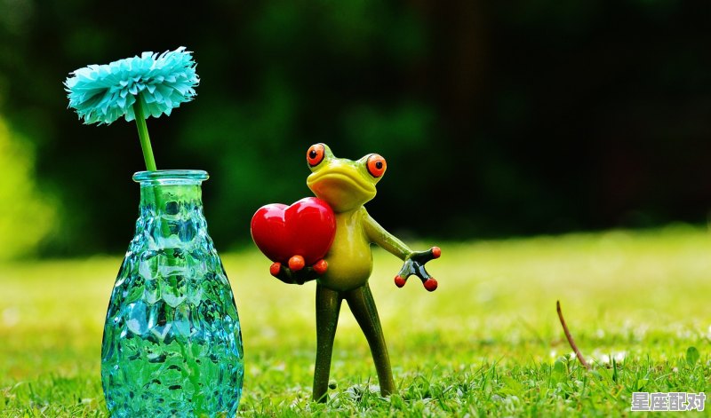 巨蟹座最佳配对星座_注定嫁给巨蟹男的星座 - 星座运势