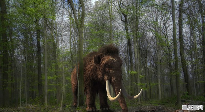 静是哪个生肖的意思_树欲静而风不息，是指什么动物 - 星座运势