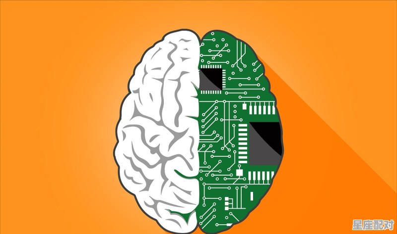 传统节日的消失感想_为什么现代人要取消字号 - 星座运势