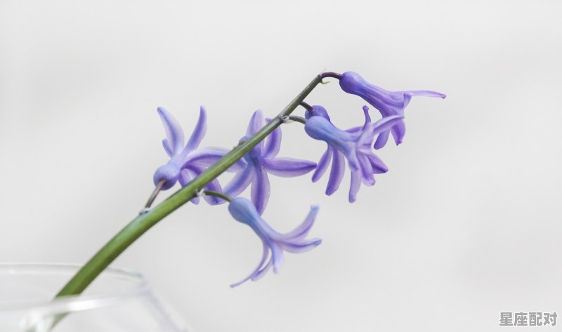 摩羯座女生真正的性格，魔蝎座座女生性格 - 星座运势