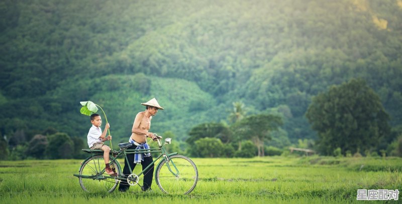 雾里看花是指什么生肖_那英老家是哪里的 - 星座运势