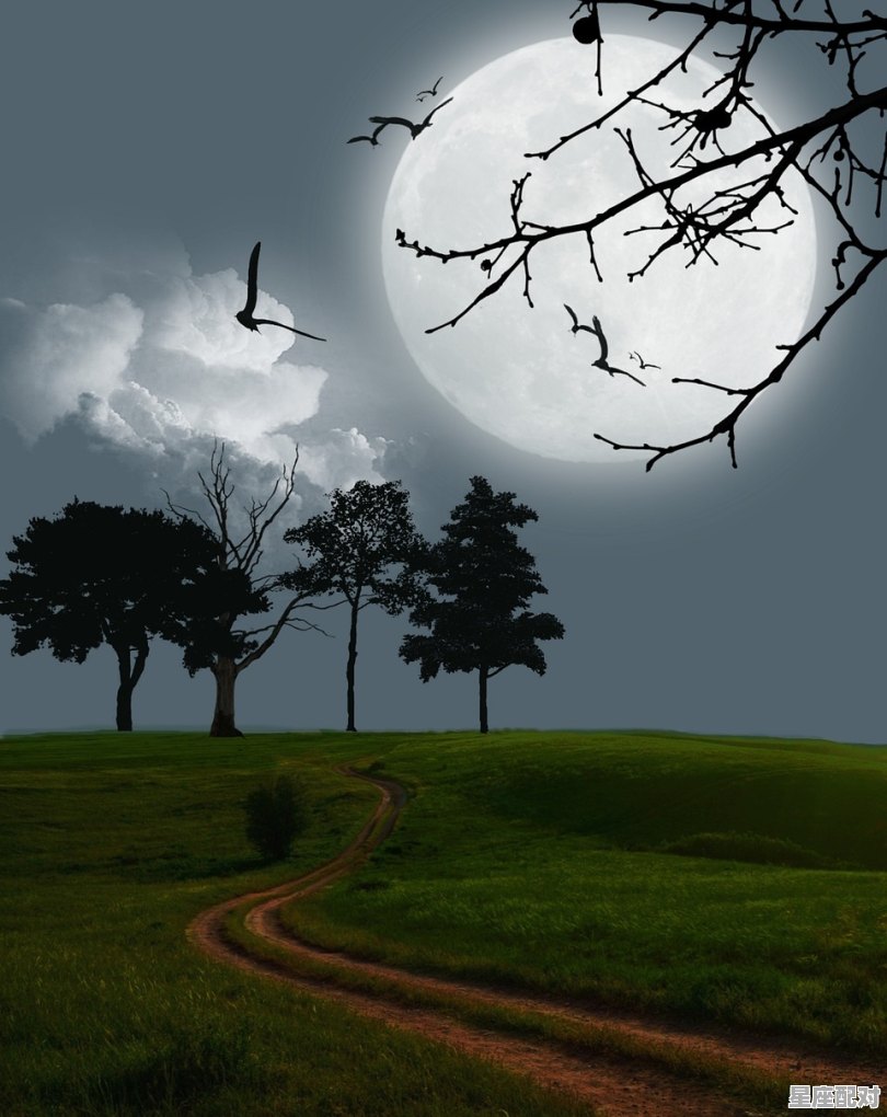 白羊座的男生好不好,白羊座座男生的性格 - 星座运势