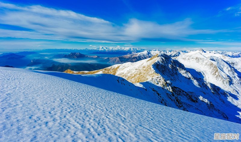 水瓶座什么性格,水瓶座座性格特点 - 星座运势