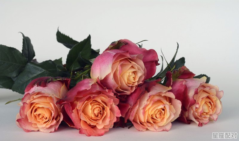 周代思想家，星座塔罗运势今日 - 星座运势