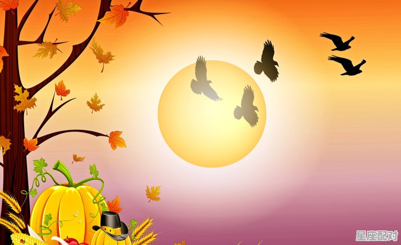 人们心中最有意义的传统节日有哪些 理由_中华传统节日的风俗和寄托的祝愿和情感有哪些 - 星座运势