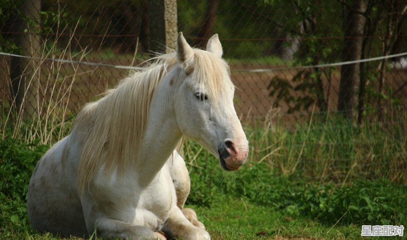 2013年十月出生的孩子是什么星座,什么星座属蛇 2013年十月出生的孩子是什么星座,什么星座属蛇 - 星座运势