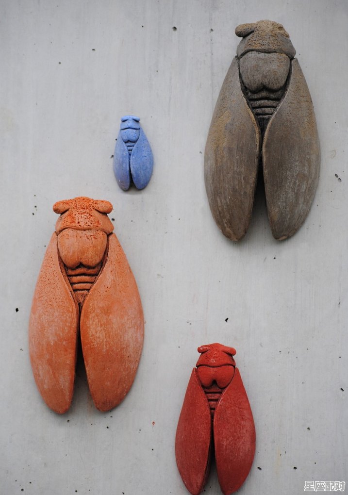 帽子的寓意和象征，梦到自己带帽子 - 星座运势