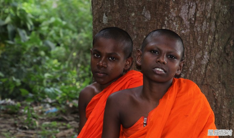 观音菩萨是什么生肖,不看僧面看佛面指什么生肖 观音菩萨是什么生肖,不看僧面看佛面指什么生肖 - 星座运势