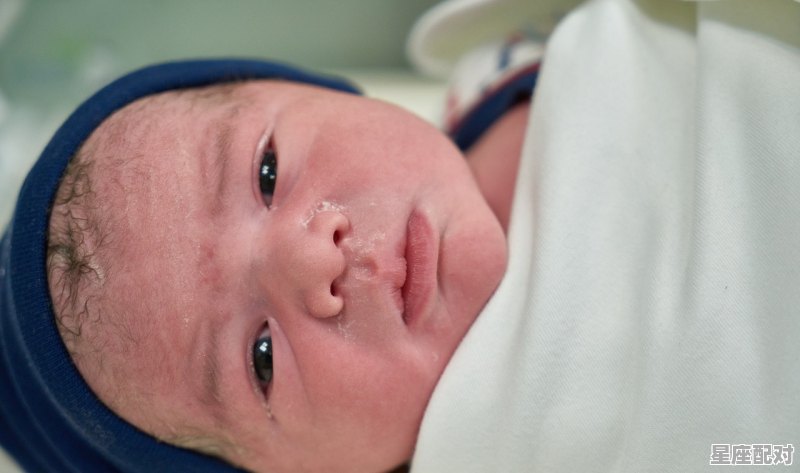 6月12号怀孕40天生的是免宝还是龙宝宝，什么生肖怀孕六个月 - 星座运势